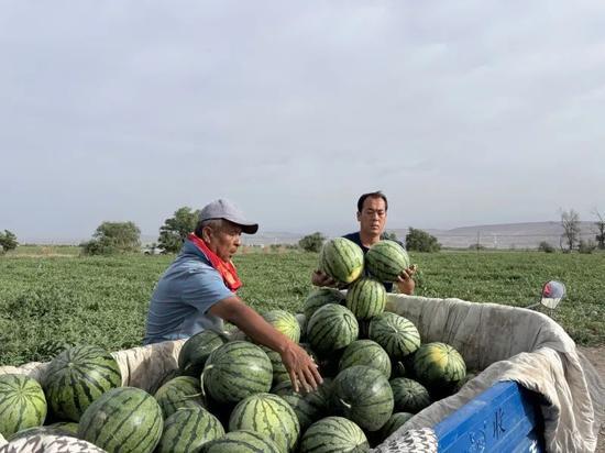 天津天海区吃瓜,瓜果飘香，美食地图探秘