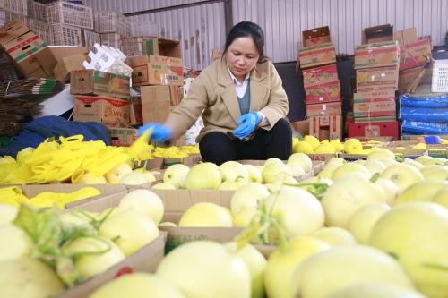 湖南邵东吃瓜直播,揭秘当地特色美食与网络直播的奇妙融合