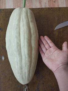 叶总吃瓜,揭秘娱乐圈幕后风云