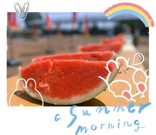 快乐吃瓜月,畅享美食，共享欢乐时光