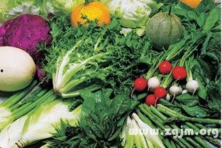 梦见做瓜菜吃,揭秘瓜菜吃梦的深层寓意