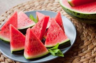 春庭雪吃瓜,瓜田里的甜蜜诱惑