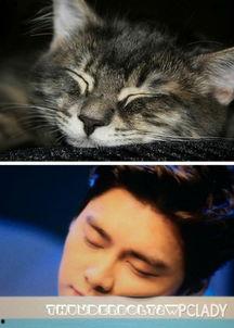 猫猫李吃瓜,揭秘娱乐圈幕后故事