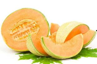 吃绿哈密瓜,尽享哈密瓜清新滋味