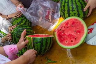 春节吃瓜视频,趣味视频带你领略民俗风情