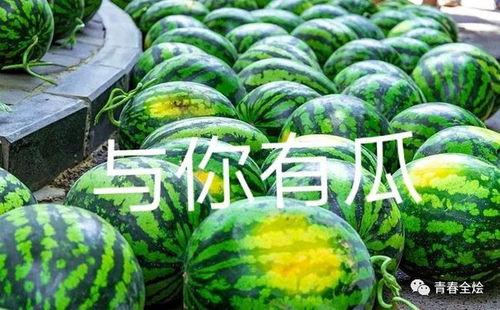 吃瓜第二现场,吃瓜第二现场独家爆料