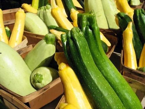 吃瓜情报处推荐