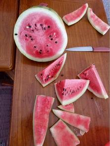 坎瓜能煮着吃吗