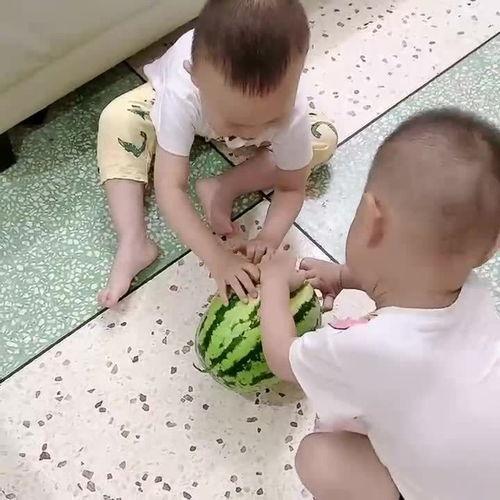 妈妈兄弟吃瓜,温馨家庭时光