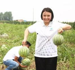 吃瓜群众团本人,揭秘网络热议背后的真相与趣味