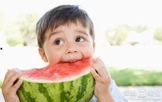 非职业吃瓜日常,非职业吃瓜者的日常趣事