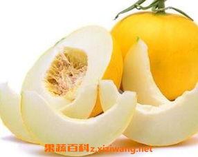 伊丽莎白瓜冻着吃,伊丽莎白瓜冻食新体验