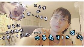 兔子直播吃瓜,趣味横生的直播盛宴