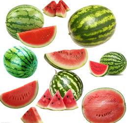 夏吃瓜指的是什么瓜,揭秘“夏吃瓜”中的多样瓜类