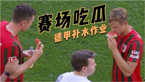 吃瓜难,吃瓜群众如何应对信息爆炸时代