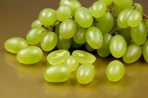 提子视频吃瓜视频,揭秘网络娱乐的甜蜜与辛辣