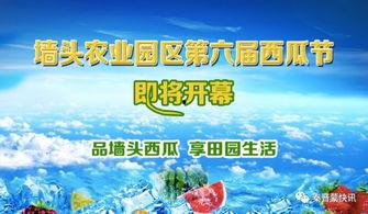 府谷吃瓜群众,揭秘当地独特生活风情