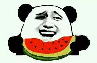 吃瓜脱单,揭秘轻松脱单的秘诀