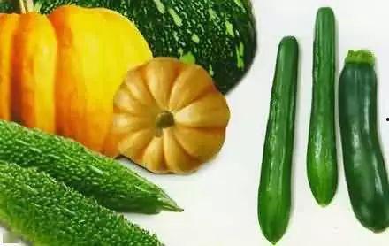 园游会吃瓜,吃瓜群众欢乐多