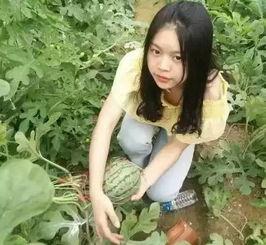 西宁吃瓜阿娘是谁,她的传奇故事与网络影响力