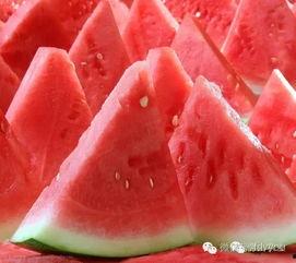 吃瓜刚摘的新瓜图片,新鲜出炉，一起来尝鲜！