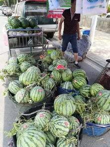 白沟装饰吃瓜事件,揭秘背后真相与行业乱象