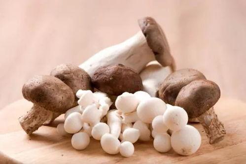 吃白瓜会尿酸高,揭秘日常饮食对尿酸的影响”