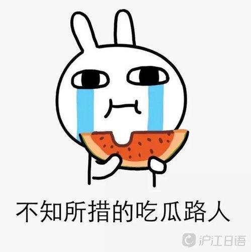 吃路人的瓜,揭秘那些令人惊悚的“吃瓜”事件