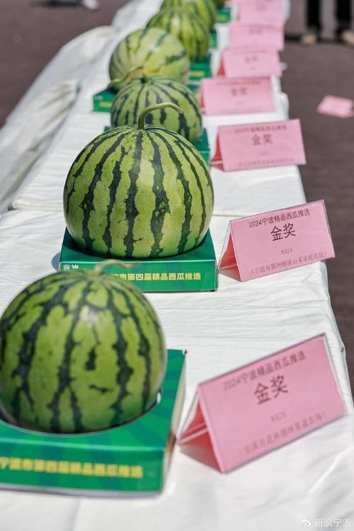 宁波最近吃瓜,揭秘网络热议背后的真相