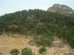 山顶上吃瓜,一场山顶吃瓜的夏日盛宴