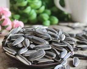 吃瓜吃瓜子吗,揭秘瓜子的魅力与吃瓜文化