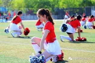 校园吃瓜墙,揭秘校园热点事件背后的真相