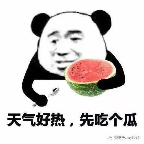 请你吃瓜乔凌,揭秘网络热词背后的故事